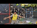 ​أكبر خسارة في المزرعة.. طارن الفناجز وانهار كل شيء 🕊️💨