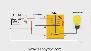 Car type relay connection  : training course /   polarized relay with freewwheel diode.