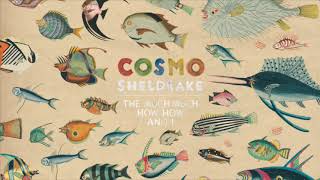 Cosmo Sheldrake - Linger A While class=