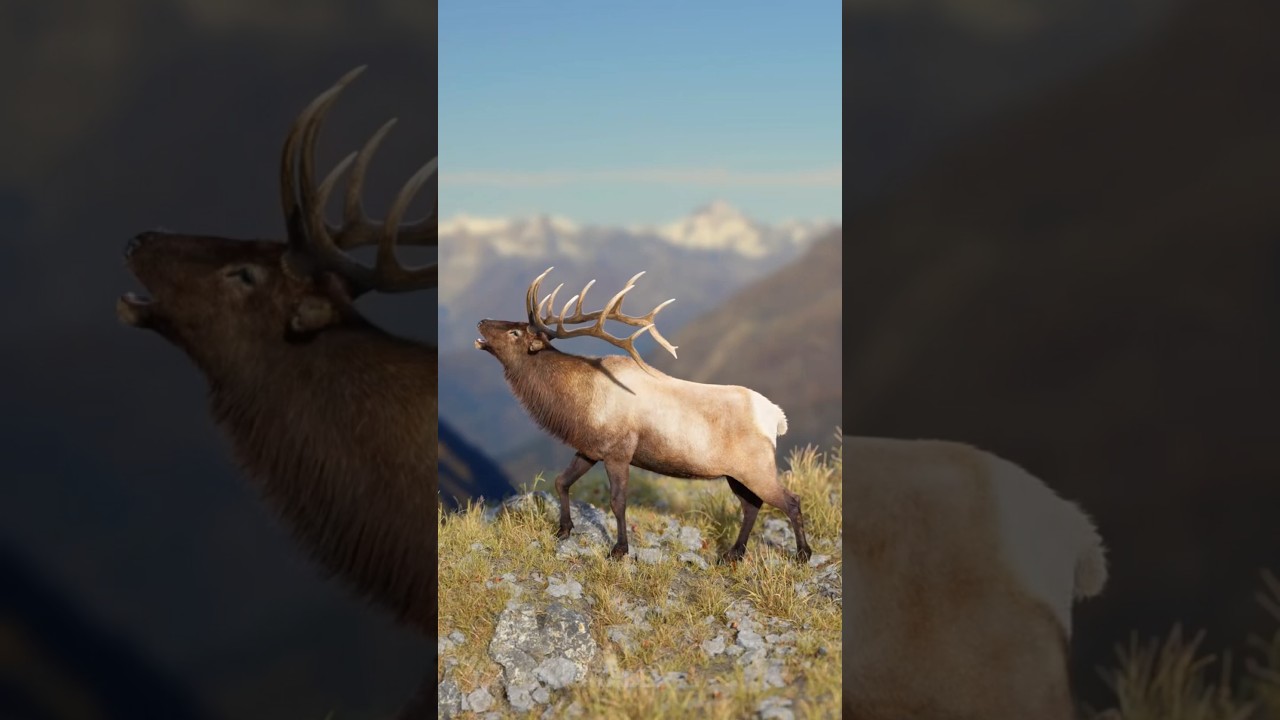 Real-Time Light & Shadow Preview on 3D Model