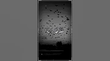 قطوفها دانية الشيخ مصطفى اسماعيل 