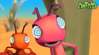 All in the Mind | Antiks | Animals And Creatures Cartoon In Hindi हिन्दी by Moonbug Kids - Animals and Creatures in Hindi 26,035 views 1 month ago 29 minutes