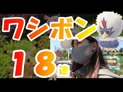 ポケモンgo ワシボンの色違いと進化 評価