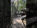 나는반딧불 #황가람 #힐링음악#relax #달빛휴릭실