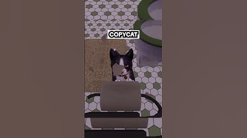 This Heartbreaking Cat Game Is Coming To Consoles! (Copycat)