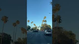 La palms. Sherman Way BLVD