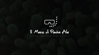 Il Mare Di Punta Ala 2018 - Sponsors