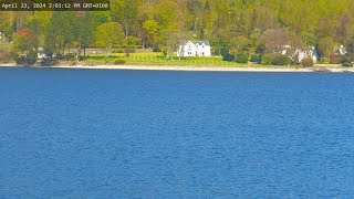 Holy Loch And Wildlife  Dunoon Scotland