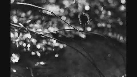 Spherical Objects - The Final Part