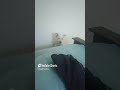 LOYAL DOGGIE LOOKING FOR ITS MASTER