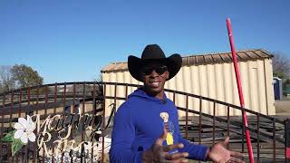 Visiting Magnolia Ranch In Houston, Texas  *Every Horse Is For Sale!*
