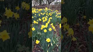 Who else is excited that Spring has arrived? 😁