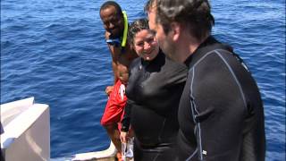 Jimmy and The Whale Whisperer, Channel 4 (UK) Trailer, 40