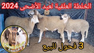 الخلطة العلفية الممتازة لكنعطي ل3 فحول، للبيع في عيد الأضحى بتافرانت (مزرعة خالد للمواشي0705937386)