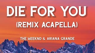 The Weeknd & Ariana Grande - Die For You (Remix Acapella) [Lyrics]