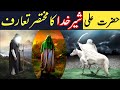 Mola Ali Ka Taruf | Hazrat Ali ka taruf | Hazrat Ali R.A | Hadees e Nabwi Pak | حضرت علی شیر خدا