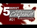 5 минут акварельных советов #1: Палитры.