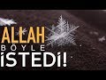 Çünkü, Allah Böyle İstedi! (Video Lyrics)