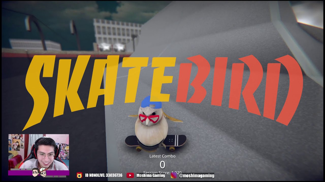 skatebird gameplay