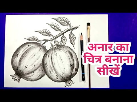 अनार का चित्र' how to draw pomegranate . - YouTube