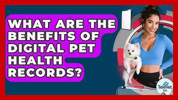 What Are The Benefits Of Digital Pet Health Records? - TeleVet Talk
