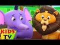 Hayvanat Bahçesi Şarkısıs | Okul öncesi | Eğitim videosu | Kids TV Türkçe | çocuklar tekerlemeler