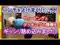 プロが教える!ウィービングとダッキングでのパンチのよけ方!アマとメイウェザーなどプロとの違いも解説! ボクシングミットを打てる店 tomitt とみっと トミット (大阪府八尾市)
