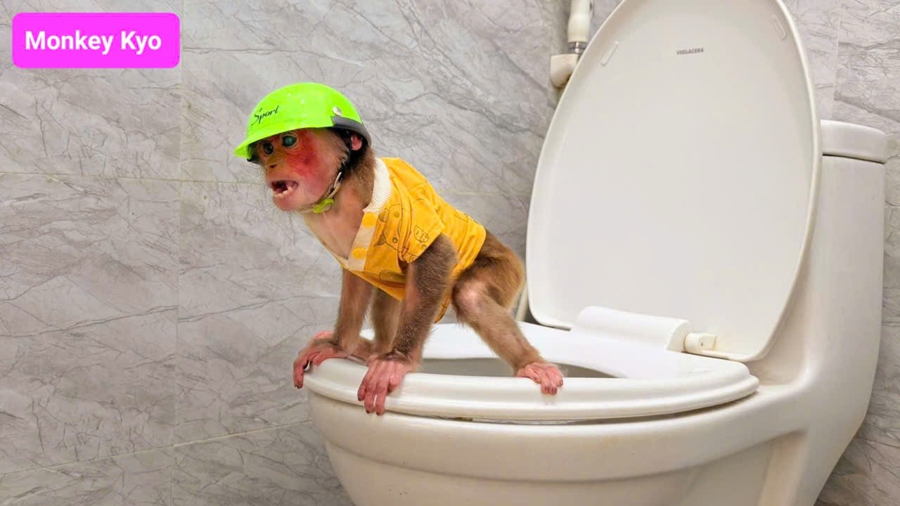 Poor Kyo! She Was So Excited… Until This Happened!