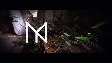 Mercury Killed Newton - p R ¤ [ ∑ S ² (Official Video)