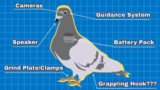 Bird Chaos - Pigeon Simulator screenshot 5
