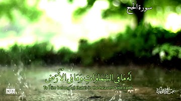 "أَلَمْ تَرَ أَنَّ اللَّهَ أَنْزَلَ مِنَ السَّمَاءِ مَاءً" سورة الحج #عبدالولي_الأركاني