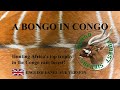 A BONGO IN CONGO (English version)