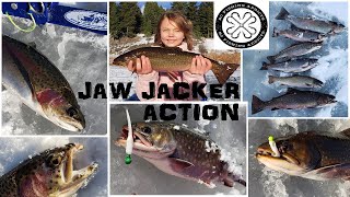 Kids Ice Fishing with Jigging Jaw Jacker Brook Trout and Rainbows