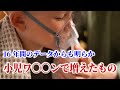 16年分のデータからわかる小児ワ〇〇ンによって起こるもの
