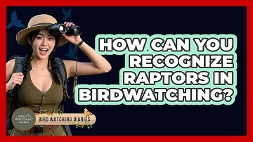 How Can You Recognize Raptors In Birdwatching? - Bird Watching Diaries