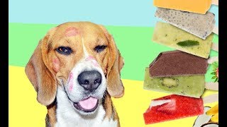 HELADO PARA PERROS  Helado casero en 5 minutos