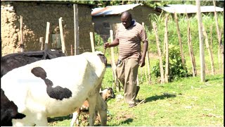 Mwanamziki Wanjala Okumu  Aibuka na Sababu Iliyomfanya Akavamiwa sanaa times