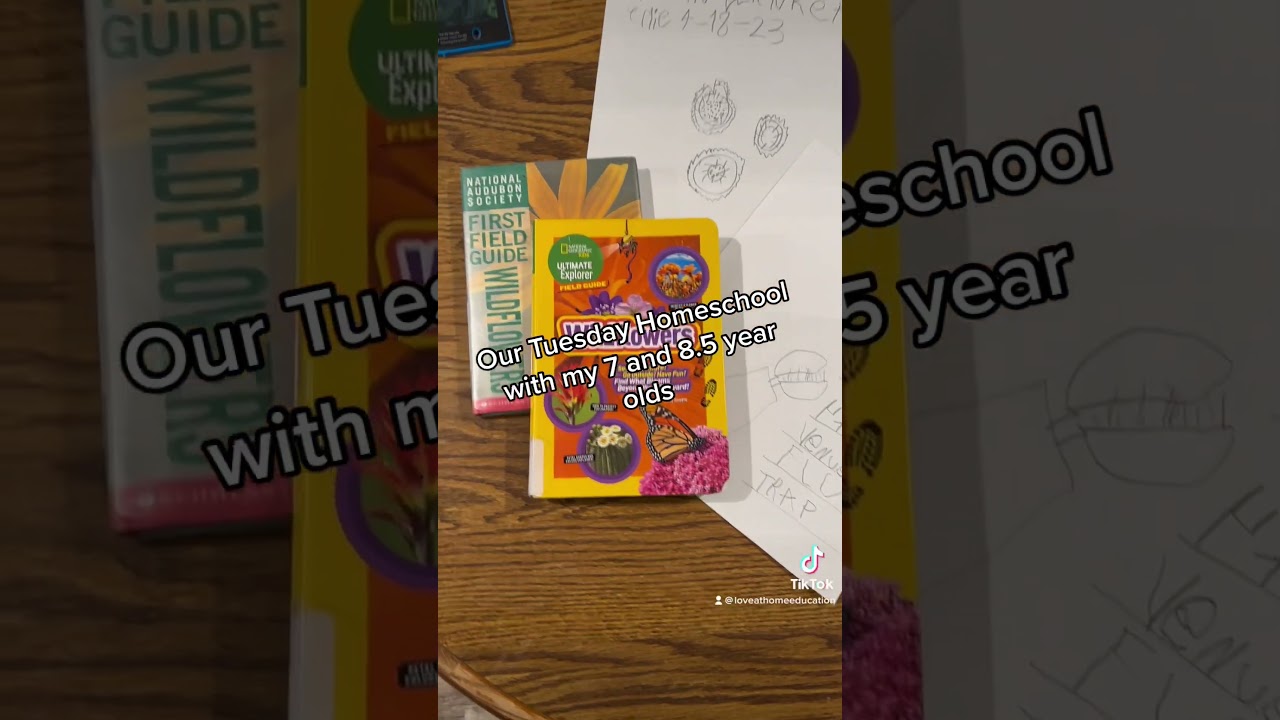 Simple Homeschool Day 1 