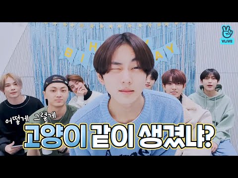 [<strong>VLIVE</strong>] ENHYPEN - 먼치킨인데 먼치킨이기도 한 우리 정원이🐈💕 (HAPPY JUNGWON <strong>DAY</strong>!)