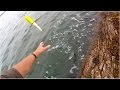 Shore Fishing - Float Fishing for Mackerel - Tips for Beginners