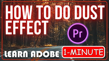 How to do Dust Effect in Premiere Pro  #adobepremierepro