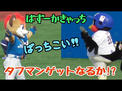 2024/6/8 フレップがつば九郎バズーカキャッチにチャレンジ