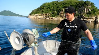 無人島で1枚の網だけでいくら稼げるか？