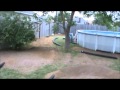 Traxxas slash 4x4 on slash 4x4 backyard racing