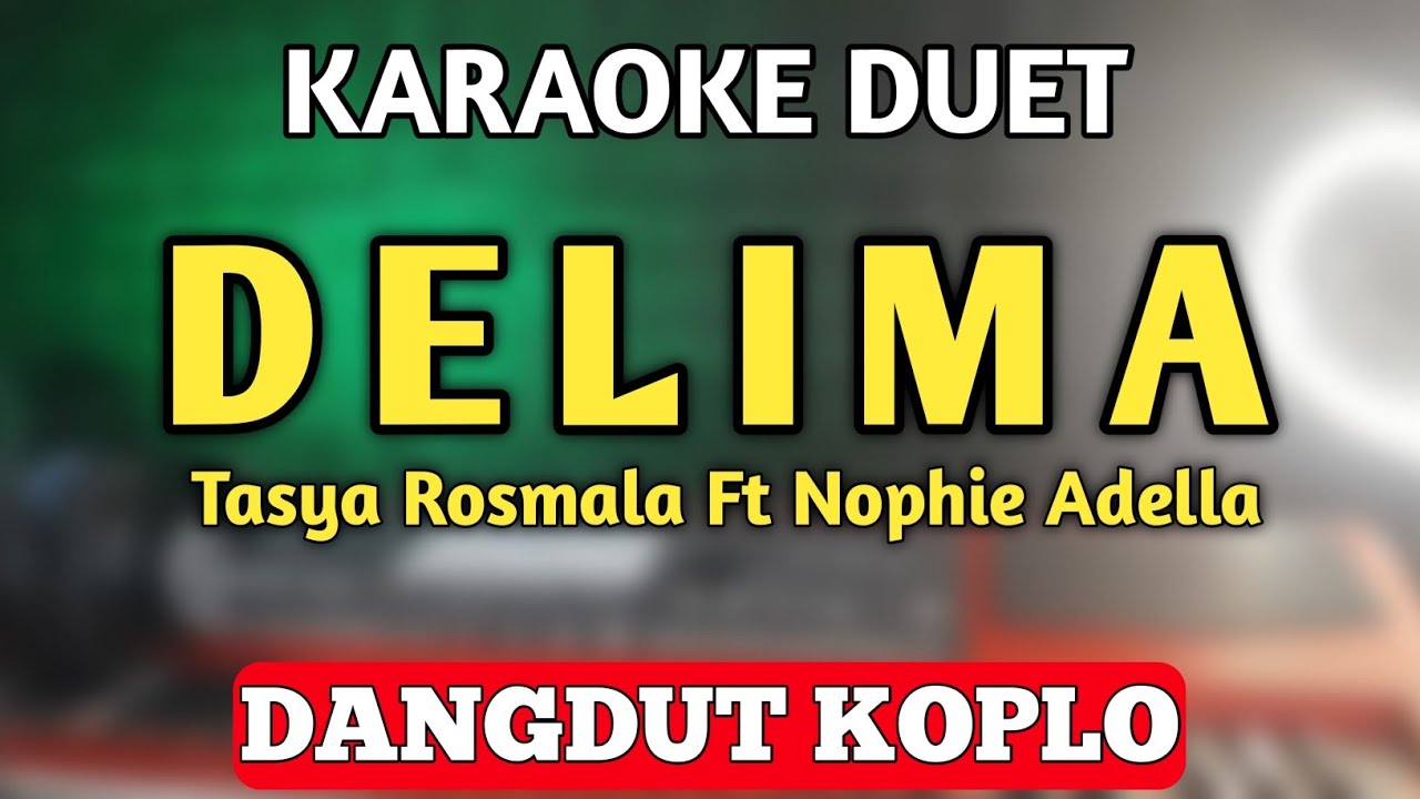 DELIMA KARAOKE DUET DANGDUT KOPLO - Tasya Rosmala Adella Ft. Nophie Adella