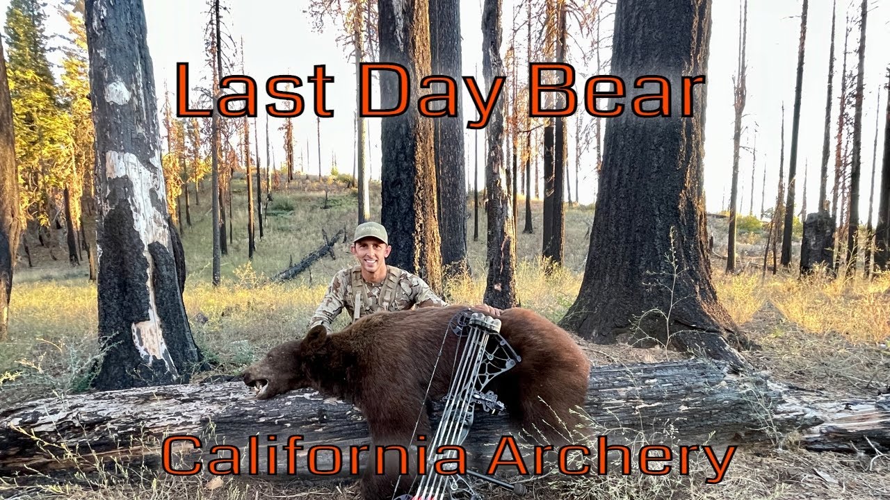 2022 California Archery Deer Hunting BIG BEAR DOWN CACCIA OUTDOORS