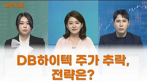 내부자들 DB하이텍 주가 추락 전략은 김시은 헤르메스스탁 팀장 최진욱 영앤리서치 팀장 매일경제TV