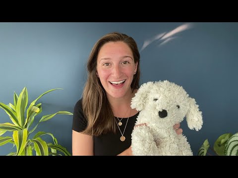 Vidéo: Animaux Domestiques. Règles De Sélection