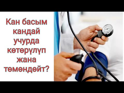 Video: Адамдан кантип өлчөө жүргүзүлөт