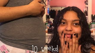 10 WEEKS PREGNANT + BABY FLUTTERS, BATHROOM RUNS & BELLY SHOT ~ Jeannie Marie